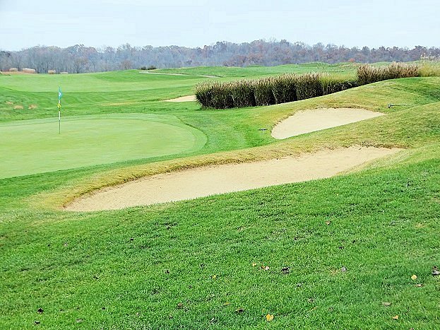 Nevel Meade Golf Course image