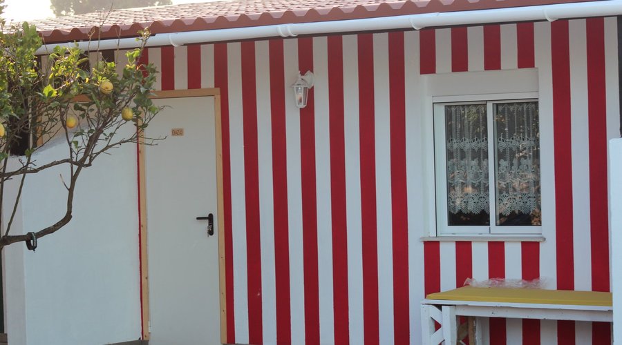Apartamentos t0