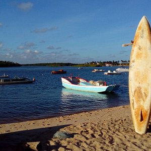 Lup Beach Club: Passeio Ilha de Santo Aleixo + Day Use (Com transfer) -  Porto de Galinhas