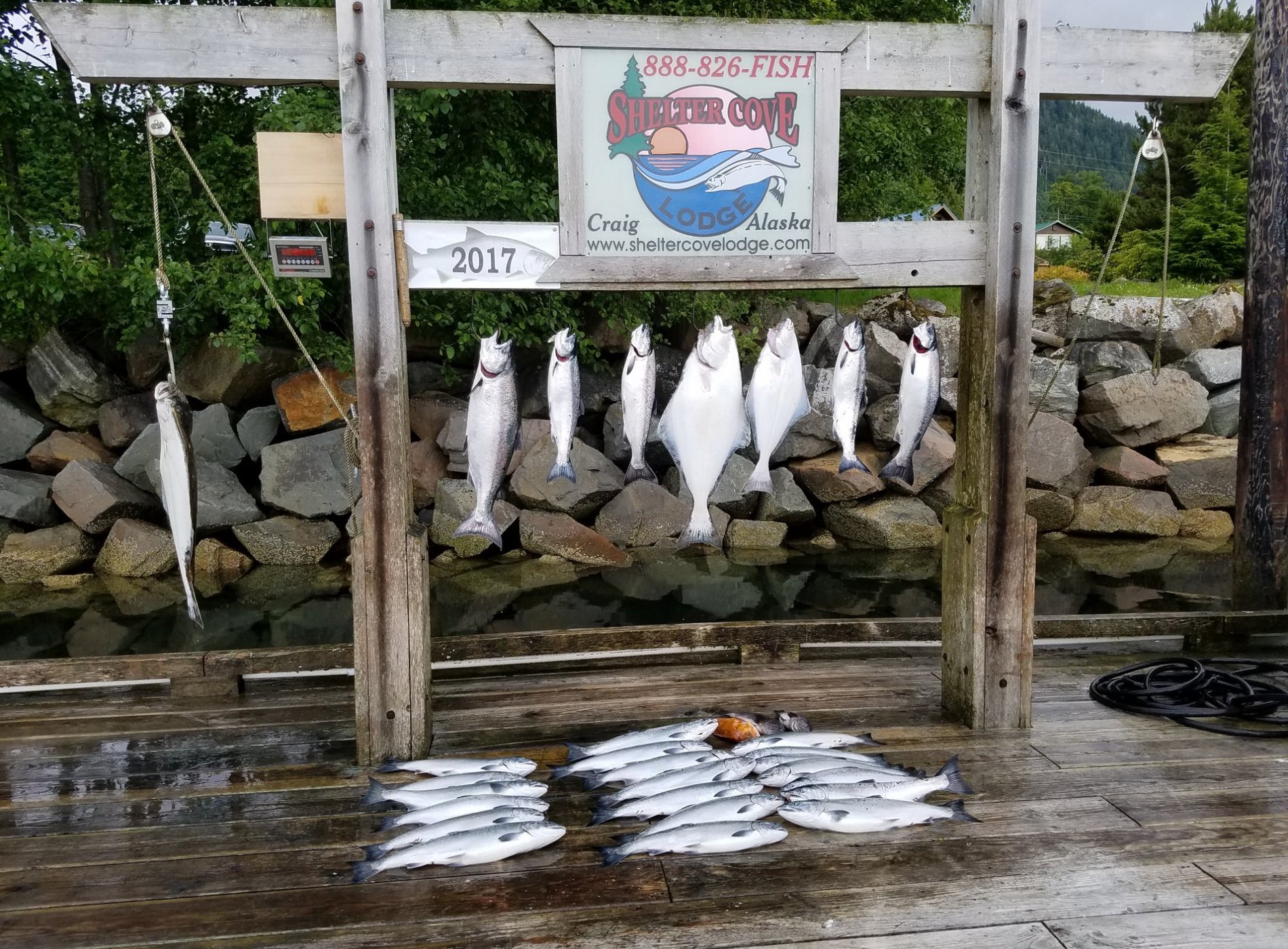 Shelter Cove Alaska Fishing Lodge by null