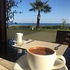 tarekenayat