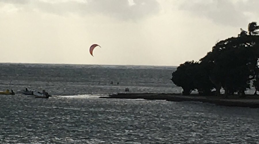 Pointe faula 8h du matin