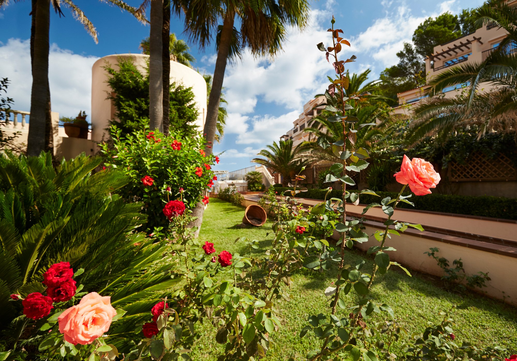 Hotel photo 15 of Invisa Hotel Club Cala Verde.