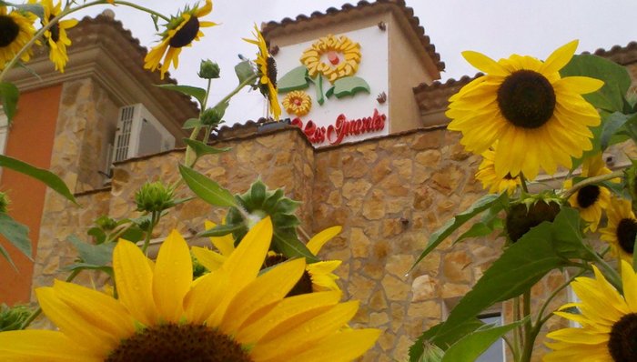 HOSTAL RURAL LOS GIRASOLES - Prices & Lodge Reviews (Iniesta, Spain)