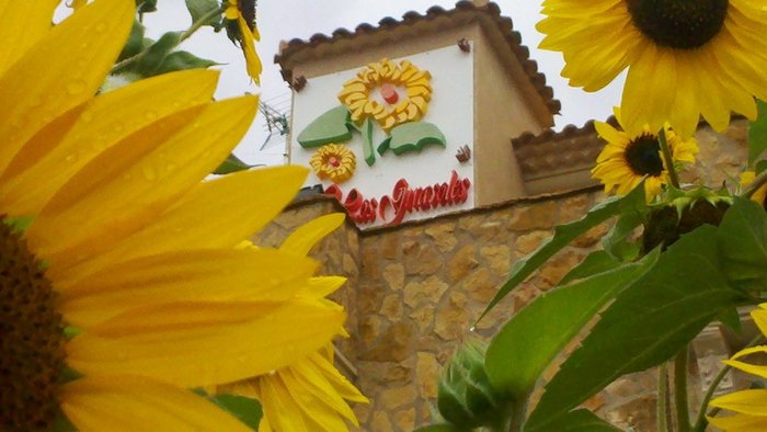 Imagen 8 de Hostal Rural Los Girasoles