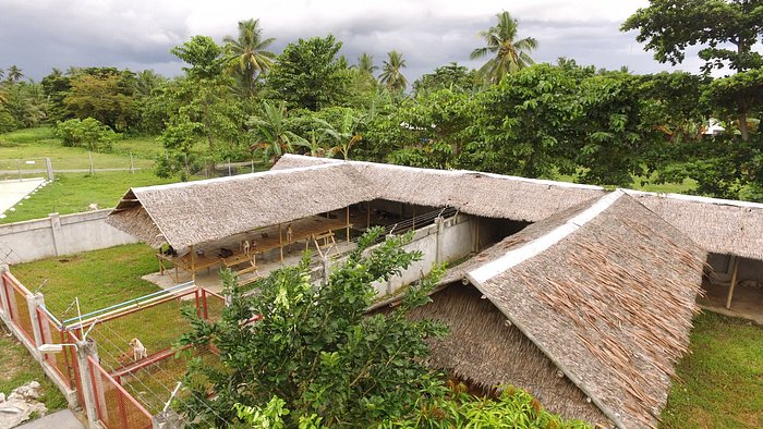 Aklan Animal Rescue & Rehabilitation Center B&B - UPDATED Prices, Reviews & Photos (Kalibo, Philippines) - Specialty B&B - Tripadvisor Aklan Animal Rescue & Rehabilitation Center B&B - UPDATED Prices, Reviews & Photos (Kalibo, Philippines) - Specialty B&B - Tripadvisor