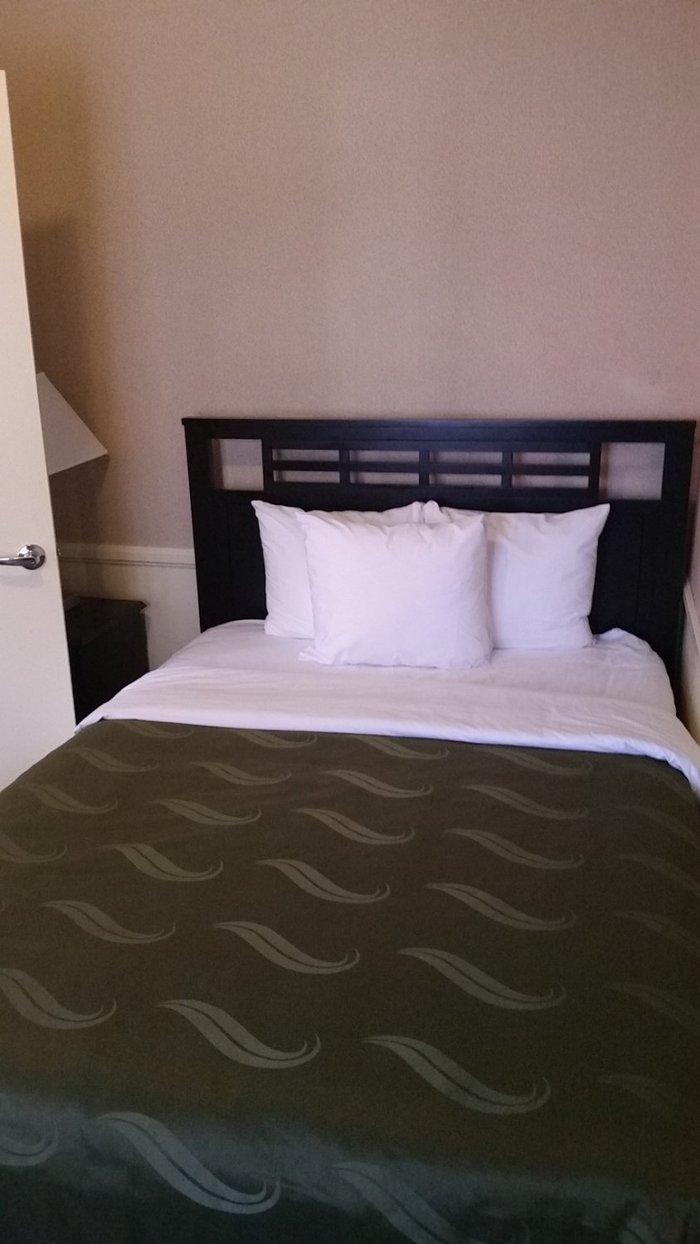 QUALITY INN & SUITES ANAHEIM AT THE PARK $135 ($̶2̶2̶4̶) - Prices ...