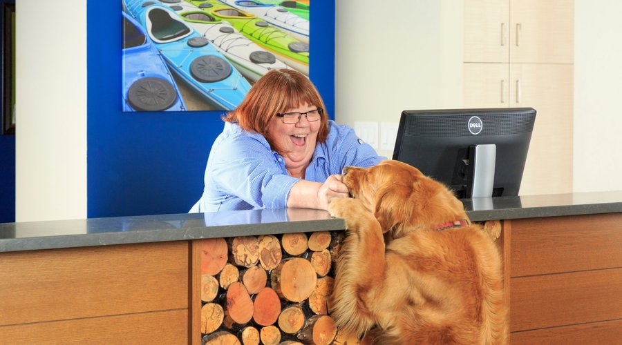 Pet-friendly