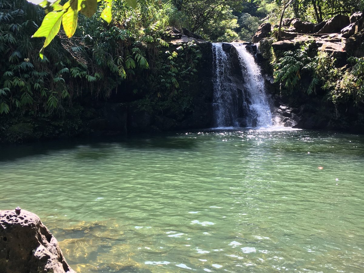 Maui Aloha Adventures (Makawao) - All You Need to Know BEFORE You Go