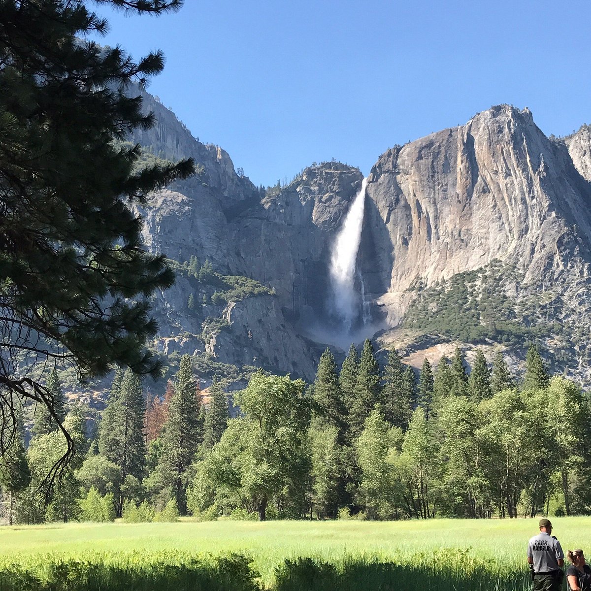 Йосемитский водопад. Йосемитский национальный парк. Grizzly Falls Йосемити. Йосемити парк эпл фото. Ribbon Falls.