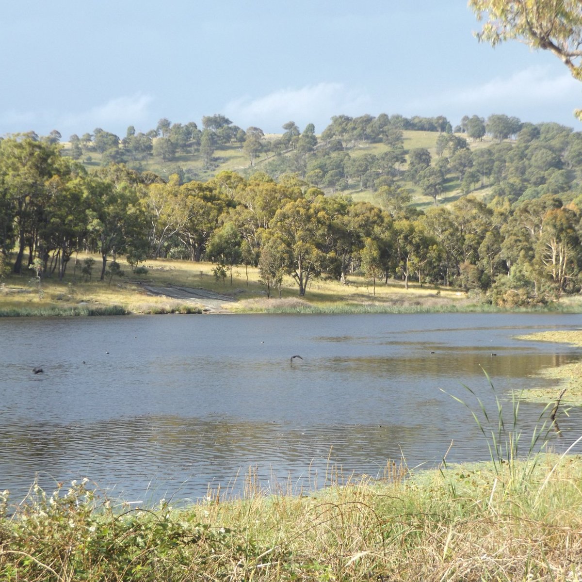 Dumaresq Dam - All You MUST Know Before You Go (2024)