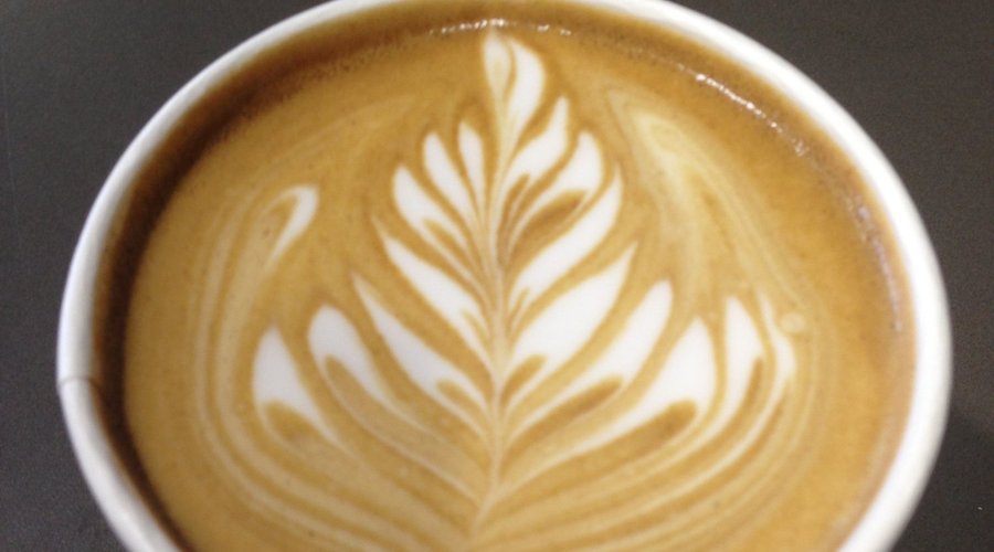 Premium barista specialty coffee