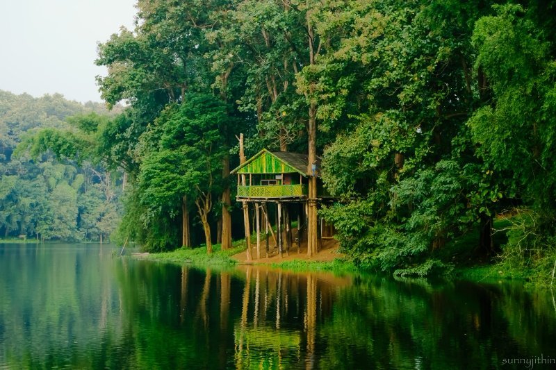 Parambikulam Tiger Reserve (Palakkad, India): Hours, Address - Tripadvisor