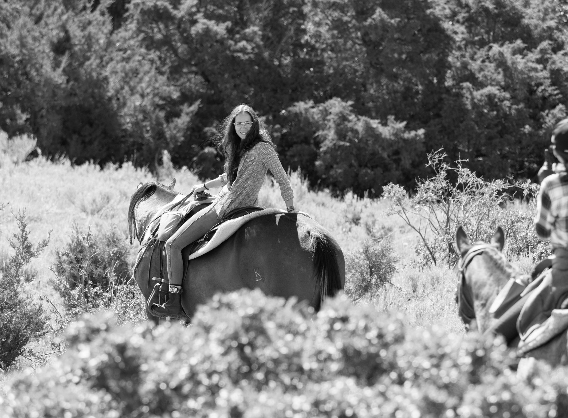 Hidden Hollow Hideaway Cattle & Guest Ranch by null