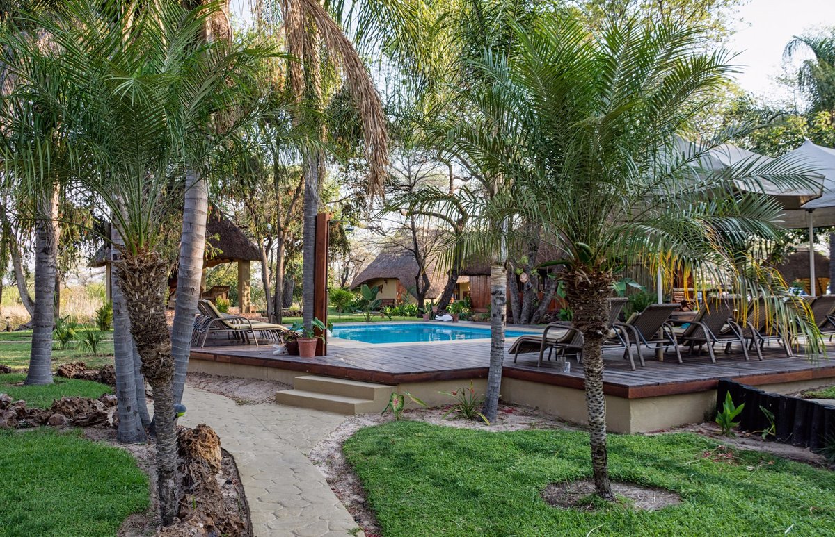 Hakusembe River Lodge Pool: Pictures & Reviews - Tripadvisor