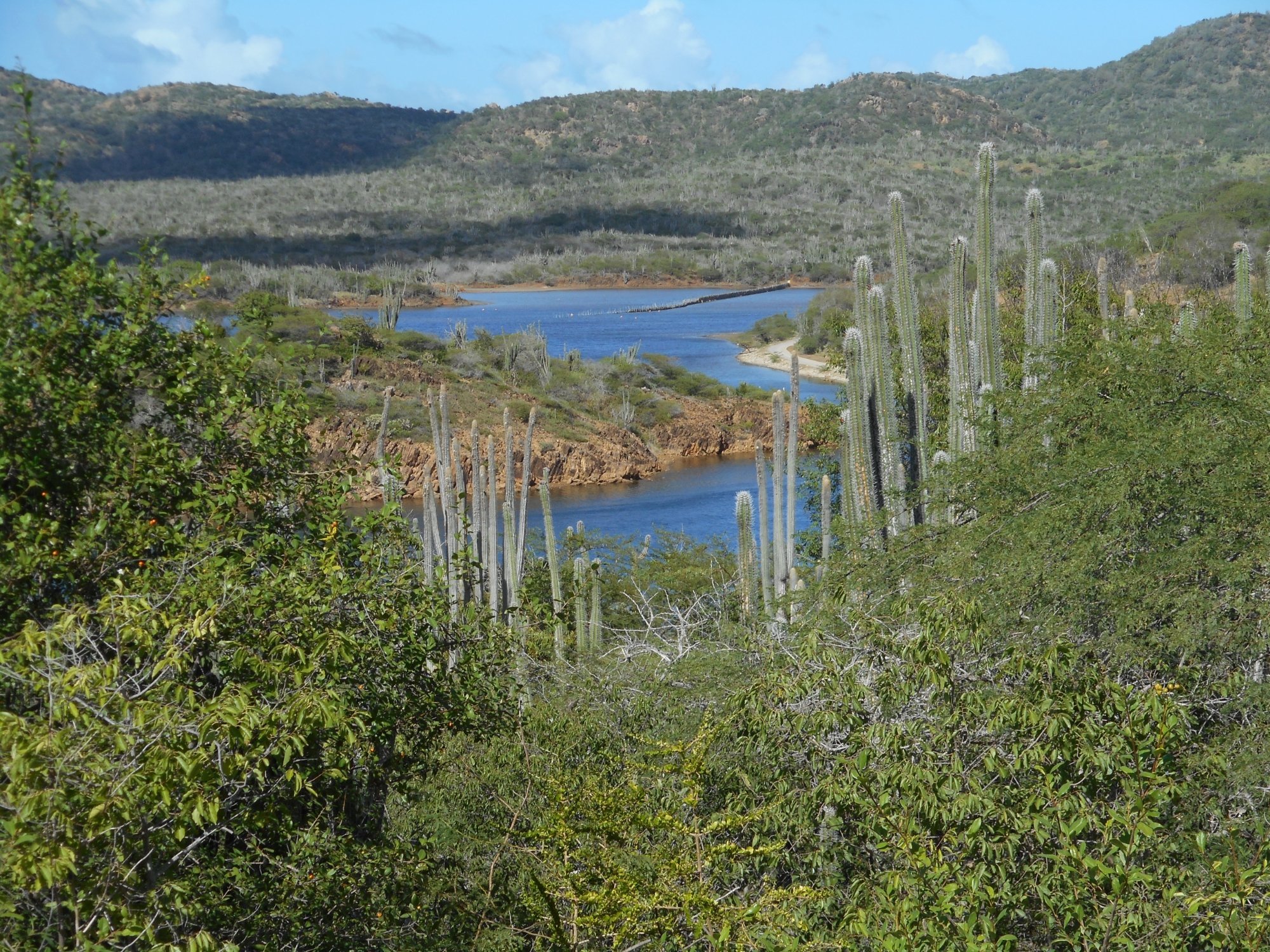 Bonaire 2024 Best Places To Visit Tripadvisor   Lake Gotomeer 