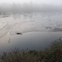 Booterstown Bird Sanctuary
