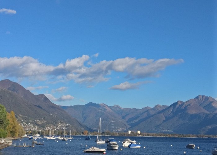 Lake view from the Park