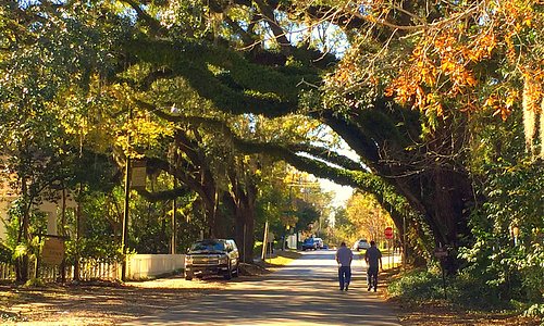 Covington, LA 2023: Best Places to Visit - Tripadvisor