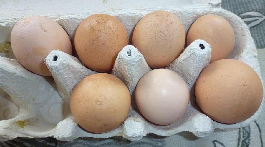 Free range eggs for sale from our own chickens