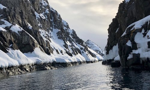 Antarctic peninsula