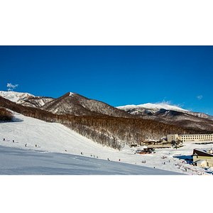 21年 フラワー ガーデン森の風 行く前に 見どころをチェック トリップアドバイザー 21年 フラワー ガーデン森の風 行く前に 見どころをチェック トリップアドバイザー