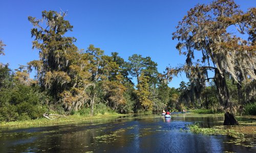 Mandeville, LA 2023: Best Places to Visit - Tripadvisor