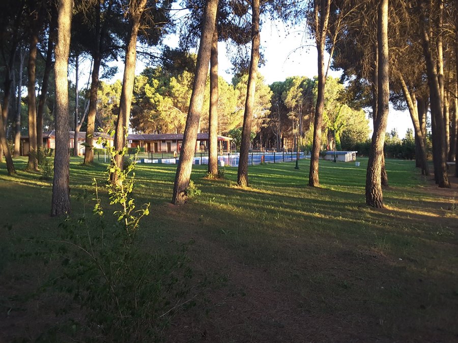 CAMPING EL TEMPLE - Campground Reviews (Spain) - Tripadvisor