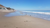 File:Dolphins, Zuma Beach, Malibu, California (13) (3125722034