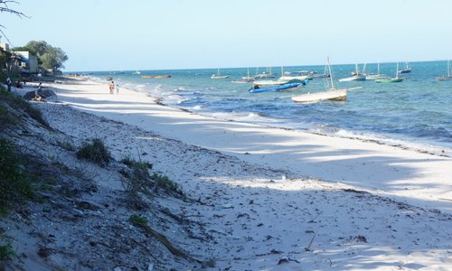 beach near Jeff's House