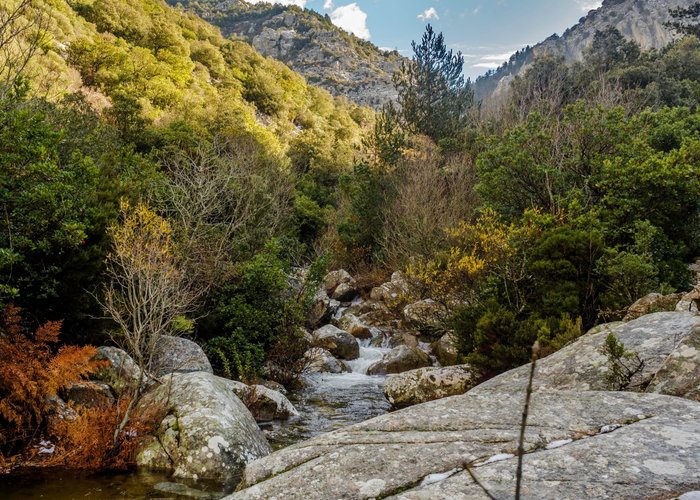 Torrente