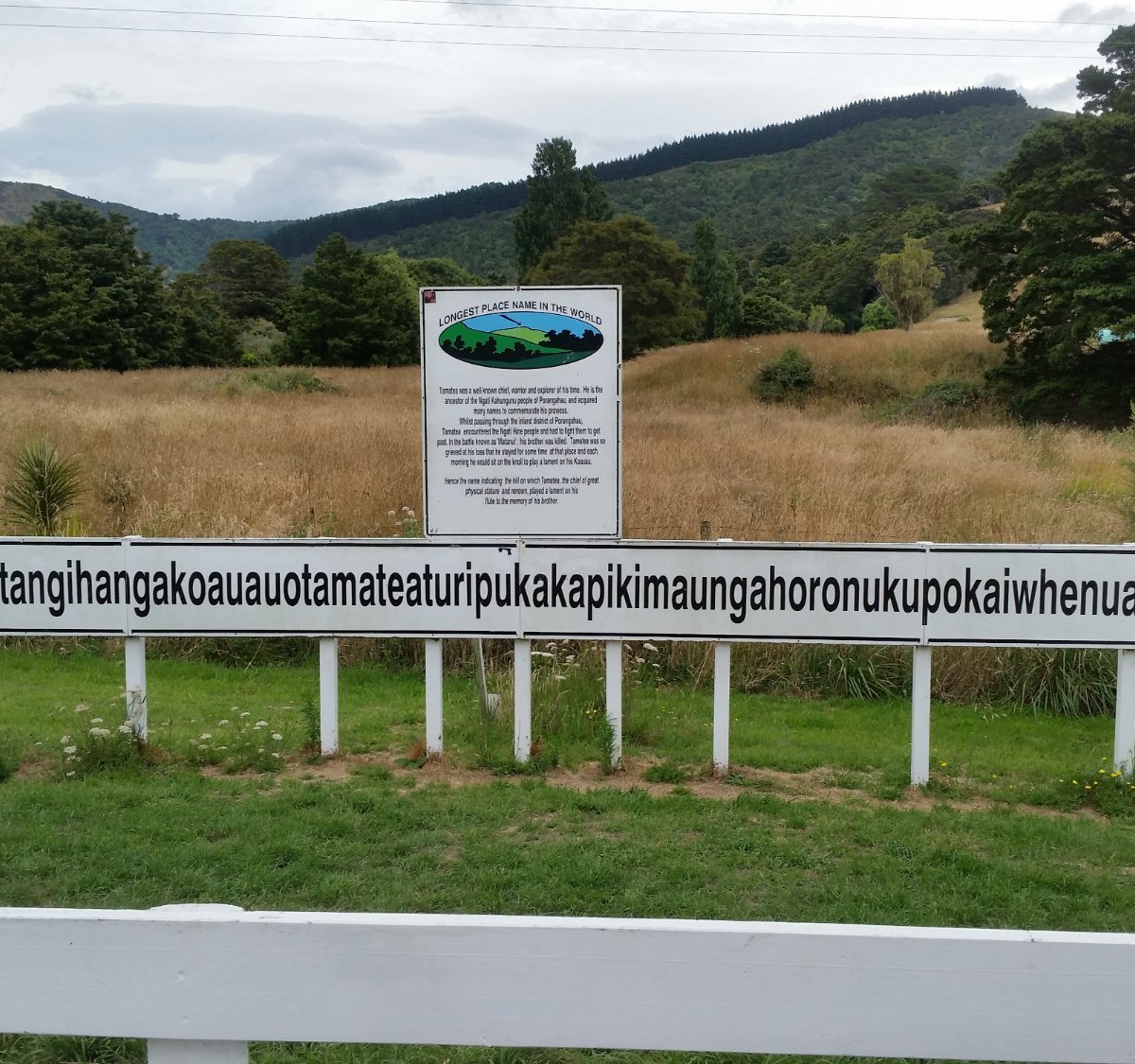 taumata-whakatangi-hangakoauau-o-tamatea-turi-pukakapiki-maunga-horo