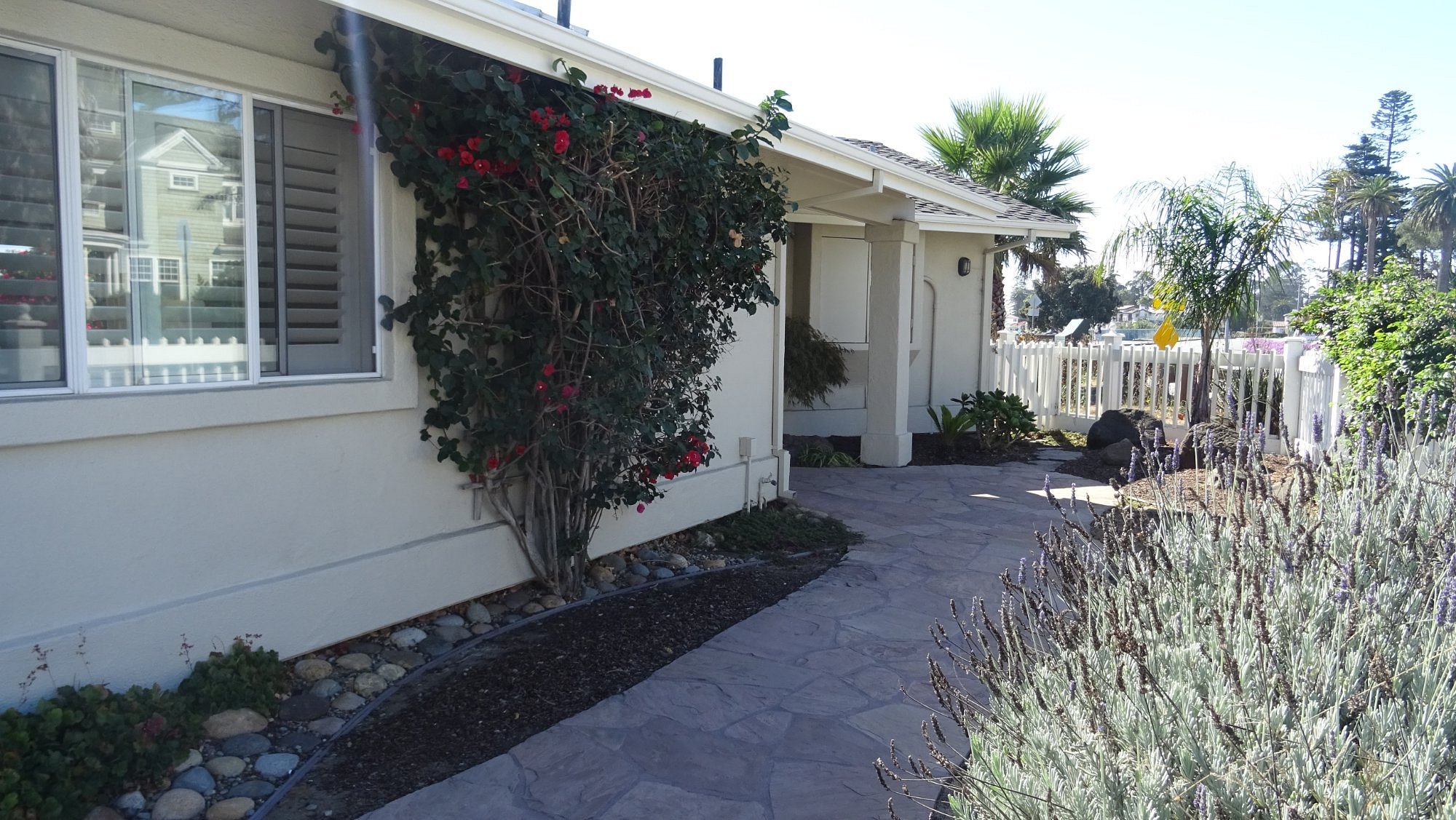 Sea And Sand Inn Updated 2022 Prices And Hotel Reviews Santa Cruz Ca