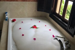 Room & Suite