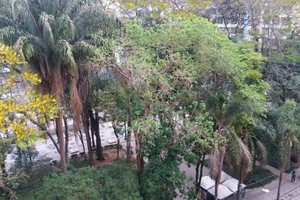 Quarto e suíte