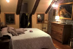 Kamar & Suite