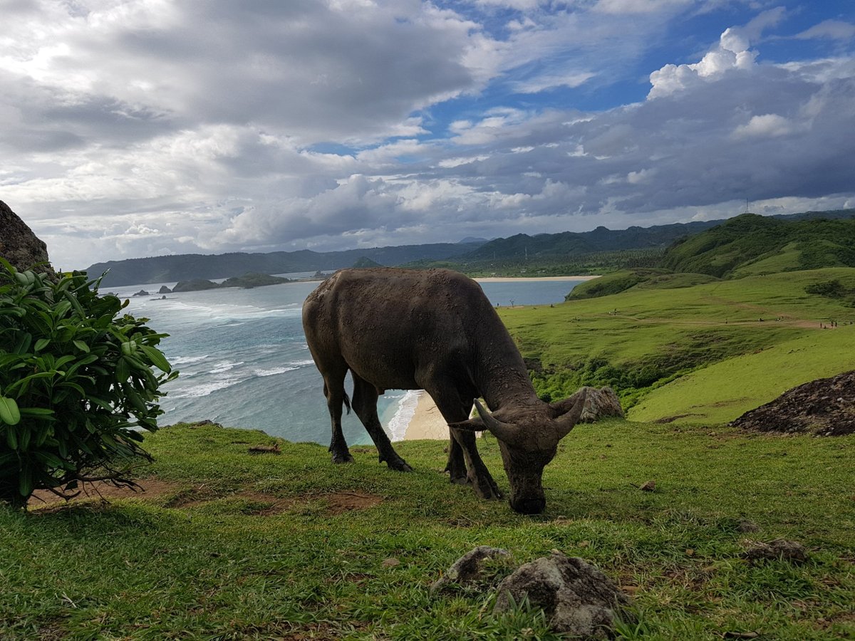 Lombok Island Flavor Escapade: Culinary Journeys and Tropical Tastes