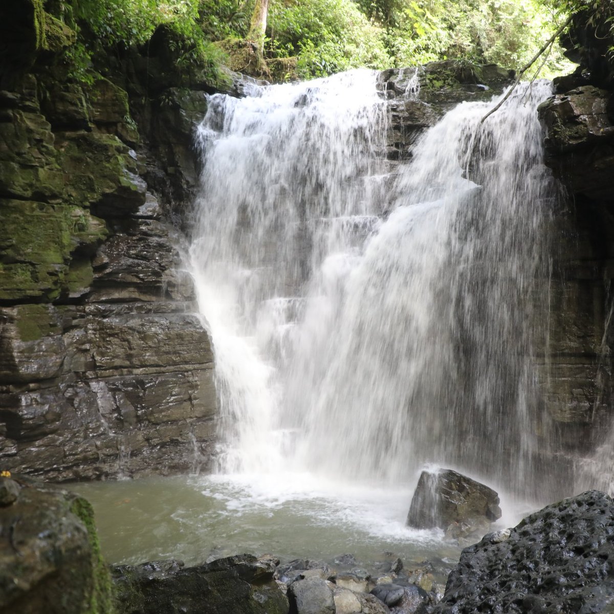 CASCADAS DE LATAS (Misahualli): Tutto quello che c'è da sapere