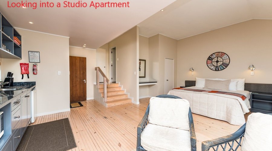 Looking into Studio Apartment