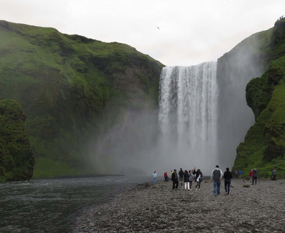 Pristine Iceland - All You Need to Know BEFORE You Go (2024)