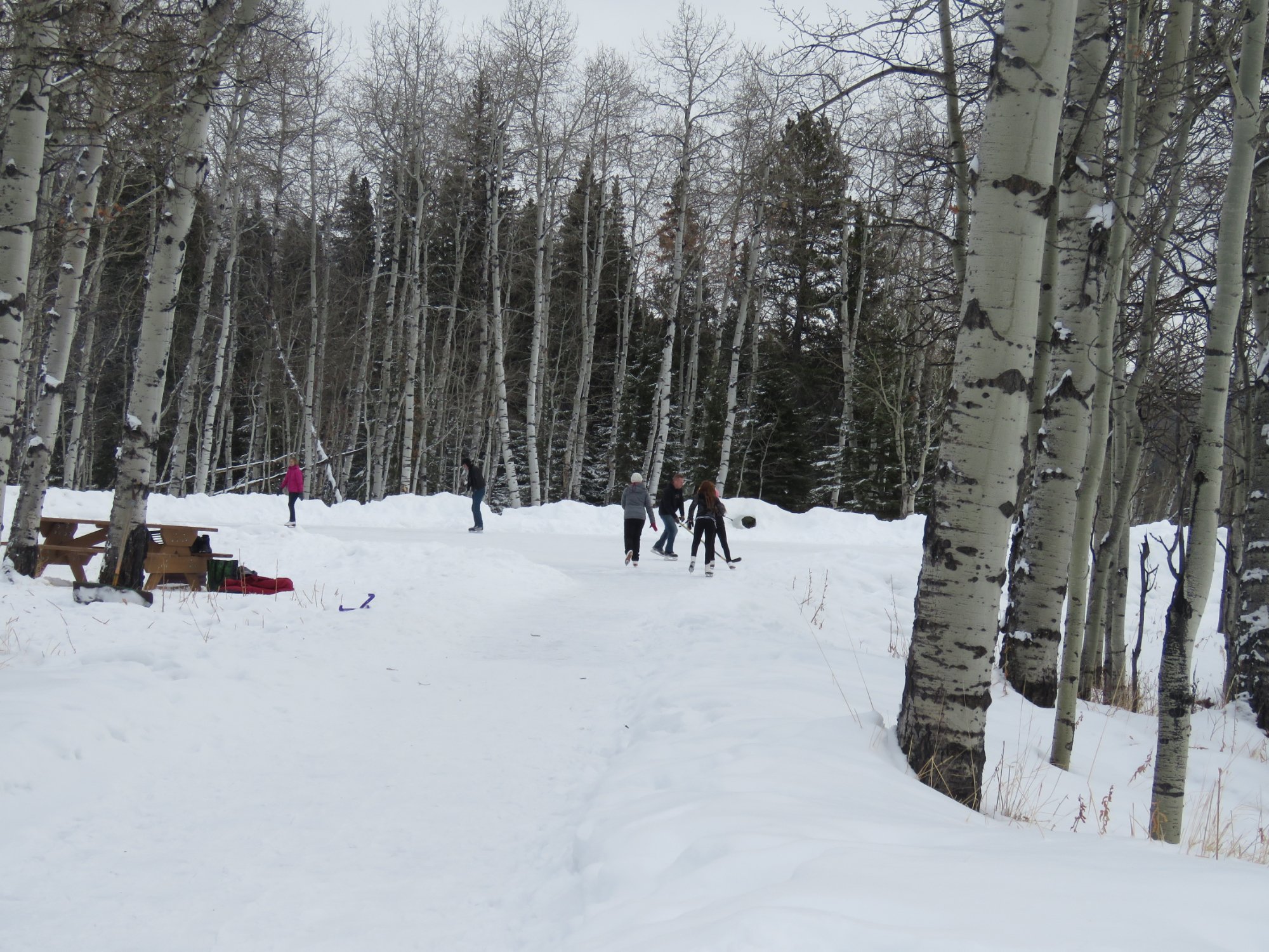 SANDY MCNABB CAMPGROUND Prezzi E Recensioni 2024   Beautiful Skating Rink 