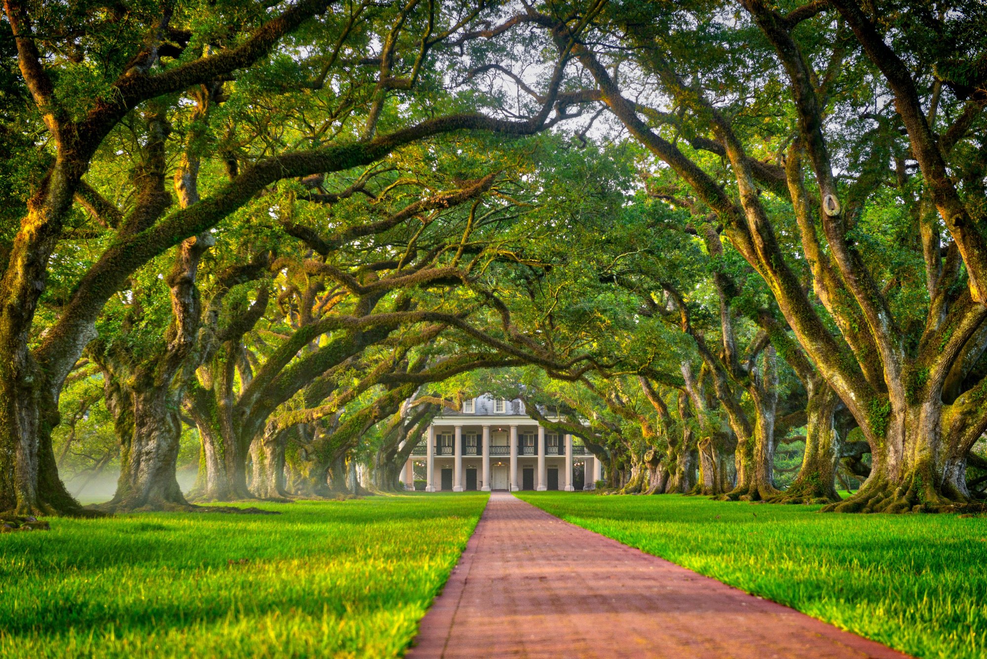 Photos of Blackmans Plantation