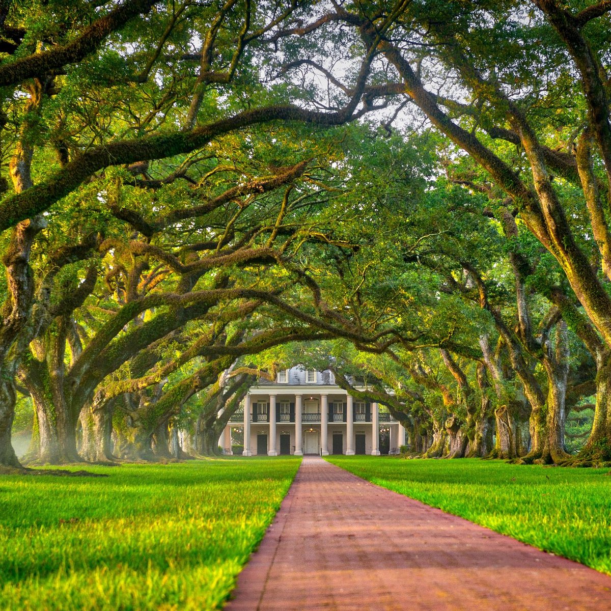 Oak Alley Plantation - All You Need to Know BEFORE You Go (with Photos)