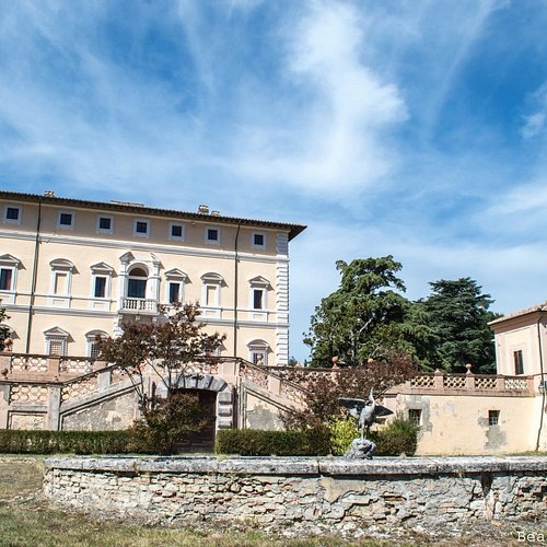 Piante grasse e altro a Perugia, in Umbria e dintorni