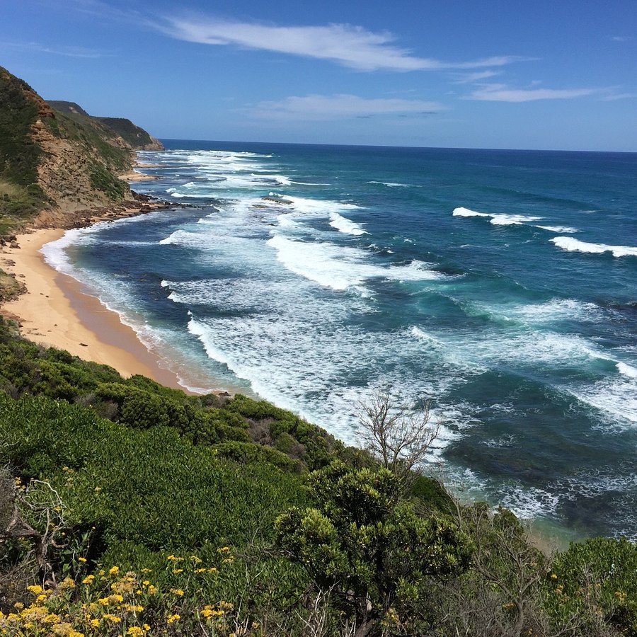 LALOR LODGE: Reviews (Apollo Bay) - Photos of B&B - Tripadvisor