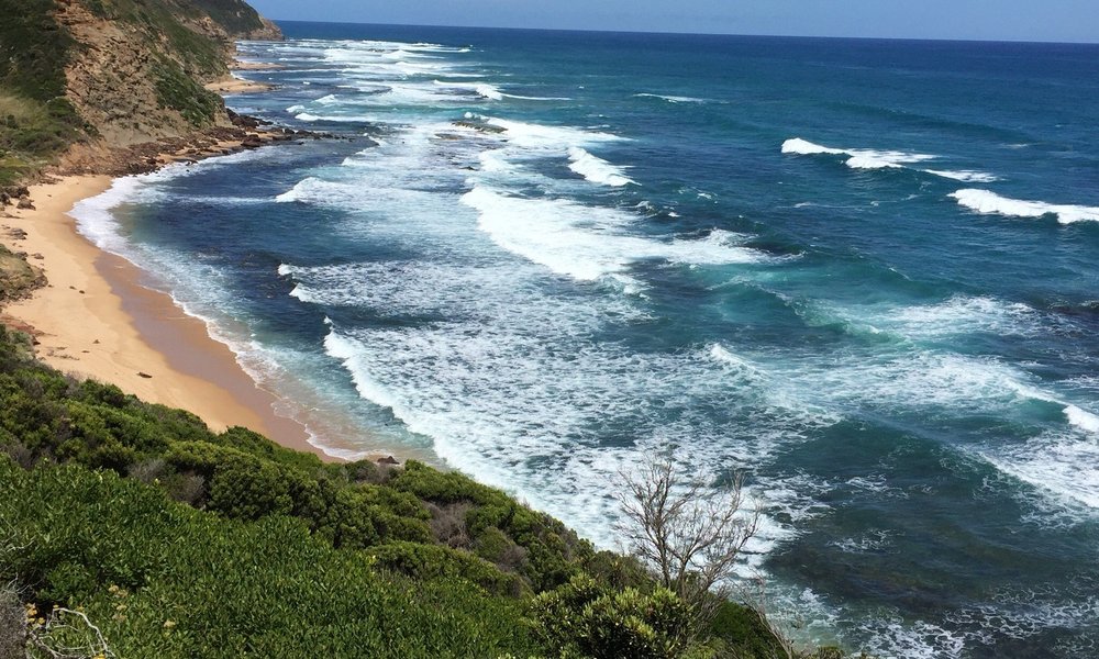 Apollo Bay 2021: Best of Apollo Bay, Australia Tourism - Tripadvisor