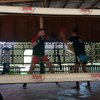 MikeCNewZealand