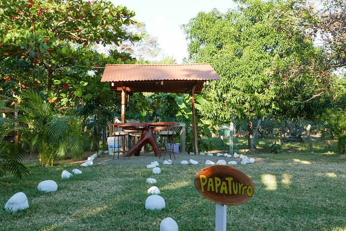 LA CASA DEL ARBOL CAMPING ZONE (El Jobo, Costa Rica): opiniones