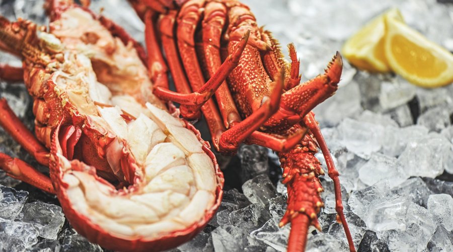 Fresh cooked Southern Rock Lobster