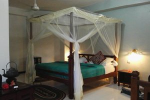 Room & Suite